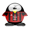 Penguin pingouin pinguino 941